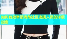 如何有效举报海角社区违规人员的详细指南