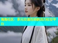 海角社区：多元交流互动的活力社交平台