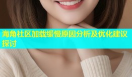 海角社区加载缓慢原因分析及优化建议探讨