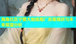 海角社区宁晋大地纸箱厂发展现状与未来展望分析