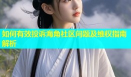 如何有效投诉海角社区问题及维权指南解析