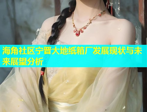 海角社区宁晋大地纸箱厂发展现状与未来展望分析