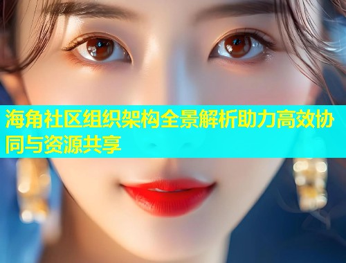 海角社区组织架构全景解析助力高效协同与资源共享