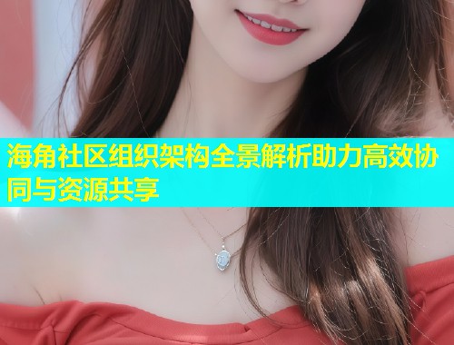 海角社区组织架构全景解析助力高效协同与资源共享